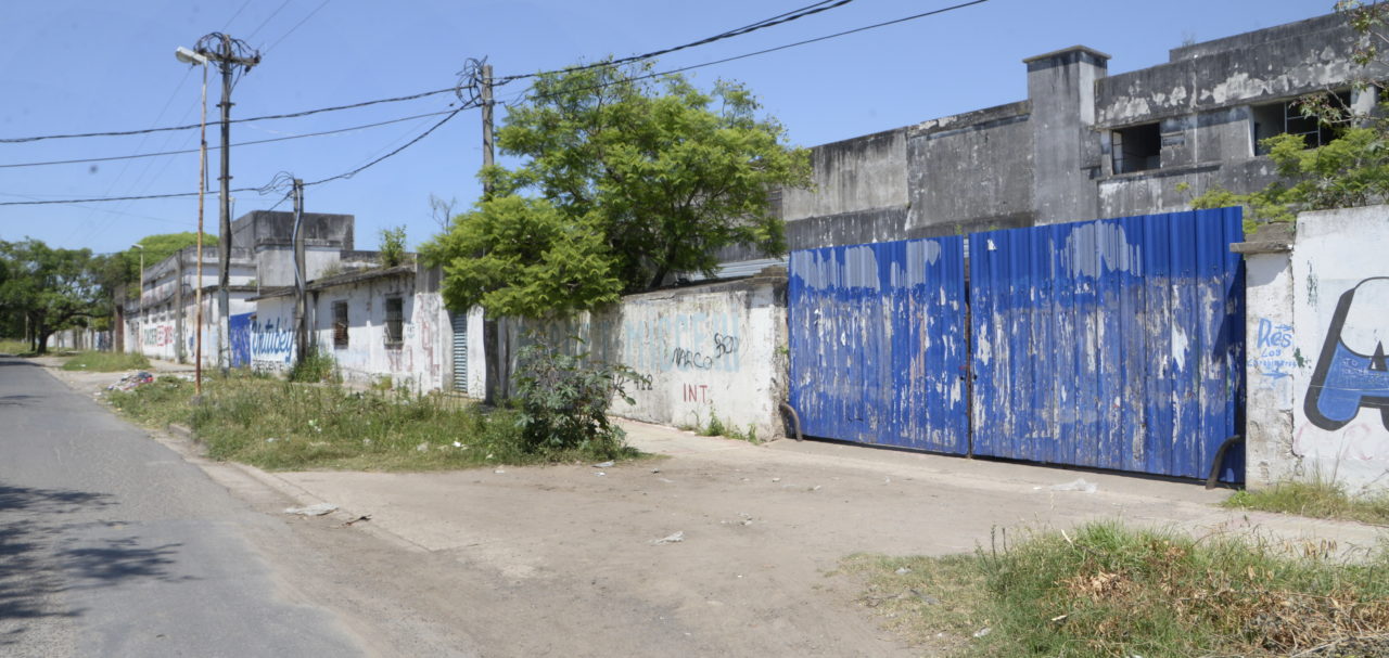 Un tabique monumental fragmenta a La Floresta | El Diario de Entre Ríos