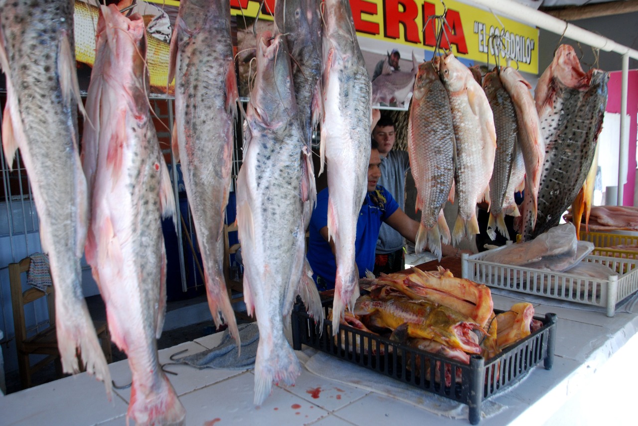 Pescadores proponen alternativas para poder vender en Semana Santa | El Diario de Entre Ríos