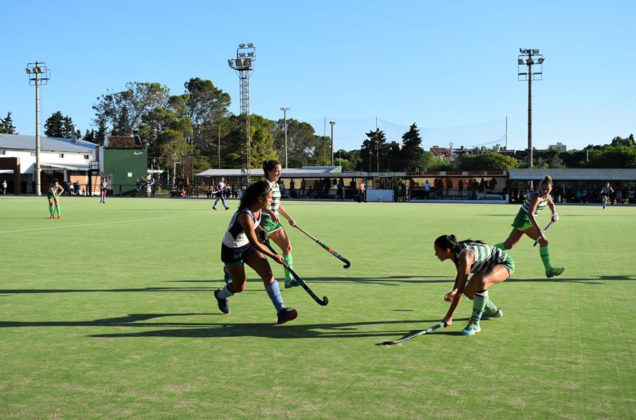 Mario Domínguez, titular de la APH: “Estamos focalizados en cómo volver