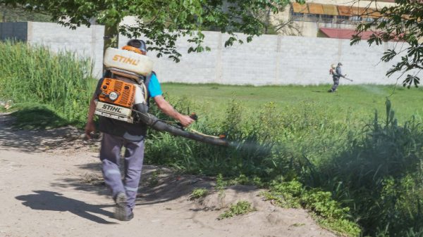 Se detalló el cronograma de fumigación en los barrios.