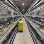 Frigerio busca reabrir China tras declarar a Argentina libre de gripe aviar