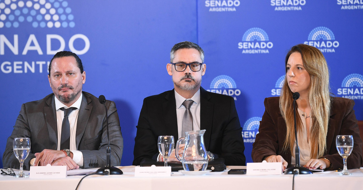 Milei frena jueces por vínculos con Tapia y un periodista de La Nación