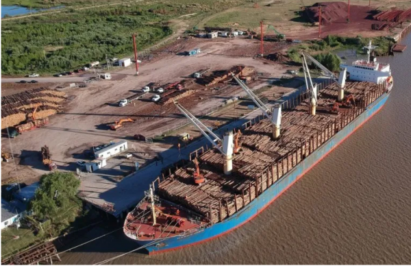 Entre Ríos exportó 31% más en 2025: el detalle que preocupa a los economistas