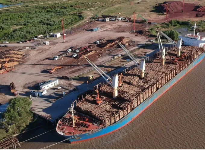 Entre Ríos exportó 31% más en 2025: el detalle que preocupa a los economistas