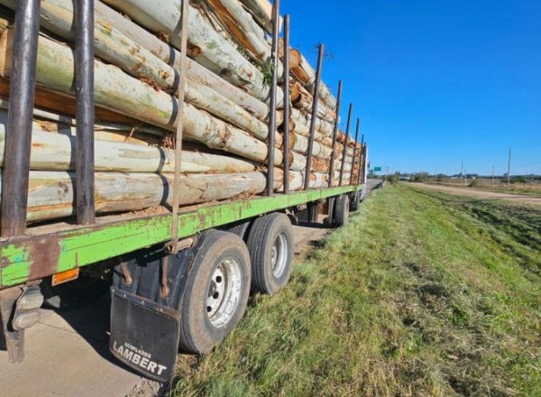Horror en la Autovia Artigas: nene de 3 años muere arrollado por camion