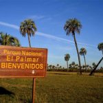 El Palmar se vuelve un lujo: la entrada ahora sale $12.000