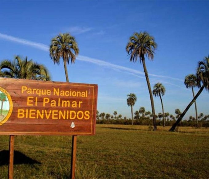 El Palmar se vuelve un lujo: la entrada ahora sale $12.000