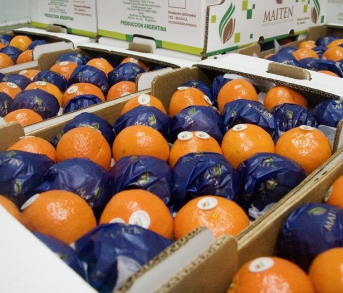 "La inflación en dólares nos está matando": el grito de alerta de los citricultores