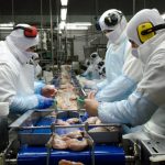 Entre Ríos exportó US$ 529 millones: el boom que sorprendió al campo