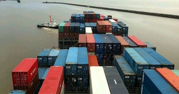 Nueva guía digital para exportar a Europa: todo lo que necesitás saber