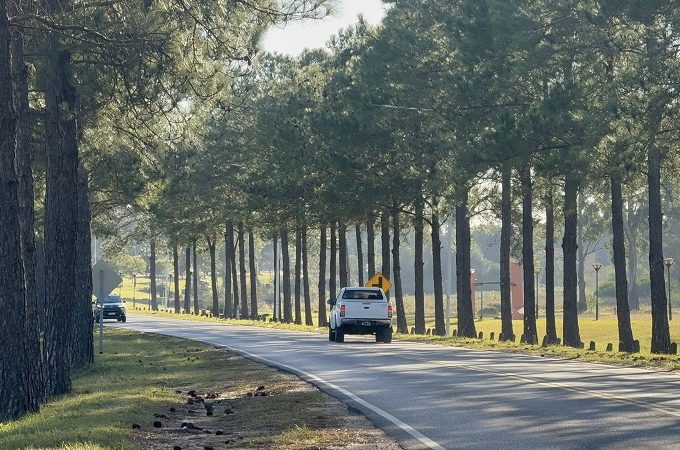El reclamo que pone en jaque a Vialidad: qué pasa en el acceso a Federación
