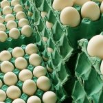 Argentina se quedó con el 100% de la cuota: Entre Ríos exportará huevos sin aranceles a Europa