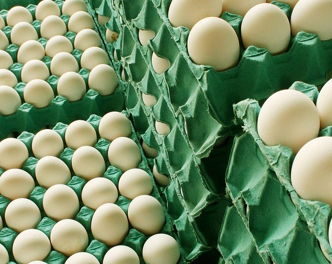Argentina se quedó con el 100% de la cuota: Entre Ríos exportará huevos sin aranceles a Europa