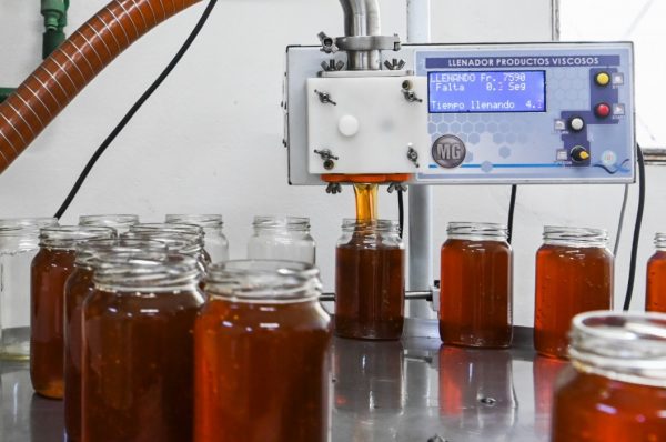 RÉCORD histórico: las exportaciones de miel explotaron en Entre Ríos