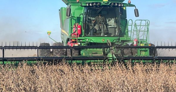Exportaciones rumbo a los US$ 100.000 millones: el récord que esconde una trampa