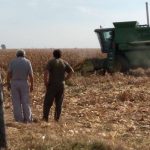 Histórico: homologan la primera paritaria rural tras la Reforma Laboral