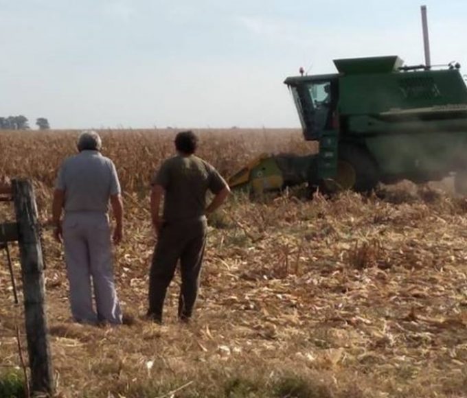 Histórico: homologan la primera paritaria rural tras la Reforma Laboral