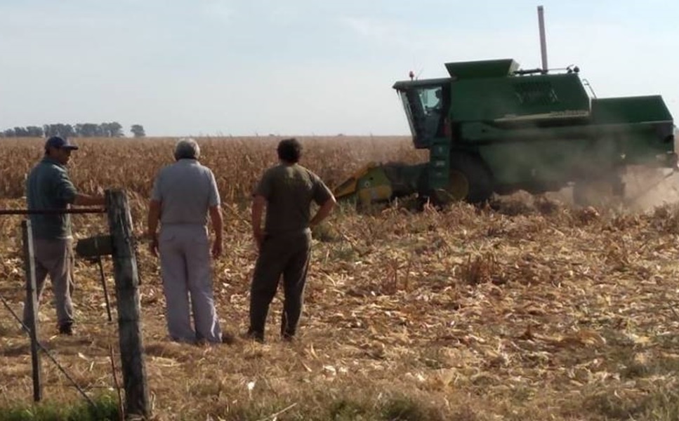 Histórico: homologan la primera paritaria rural tras la Reforma Laboral