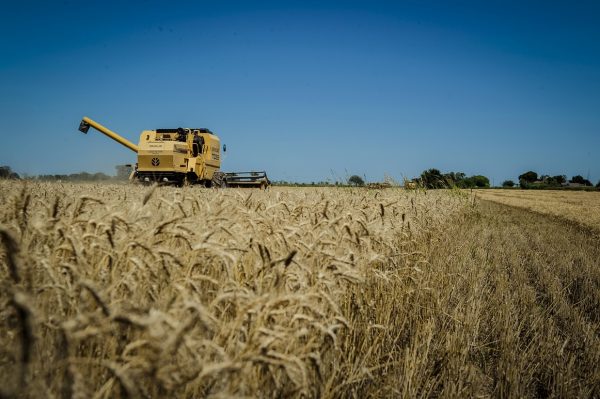 Entre Ríos exportó US$529 millones: el salto del 21% que sorprende