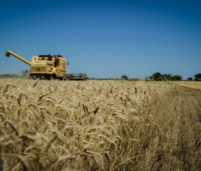 Entre Ríos exportó US$529 millones: el salto del 21% que sorprende