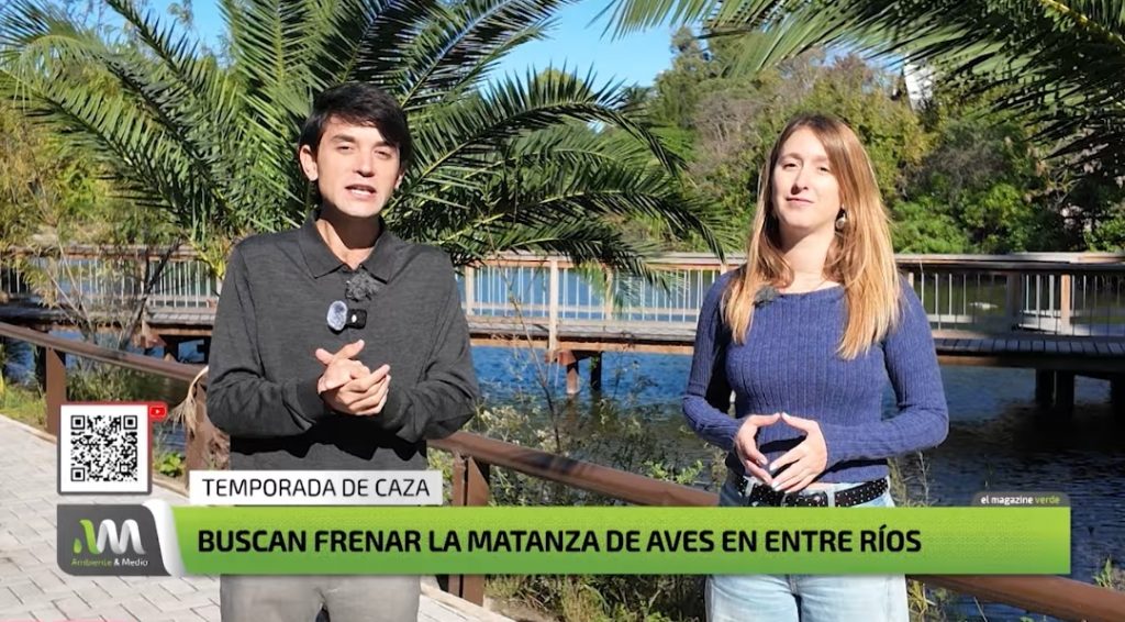 El informe de TV nacional que expuso la masacre de aves en Entre Ríos