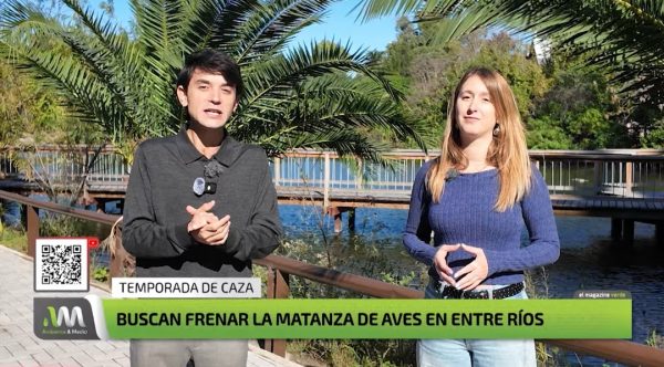 El informe de TV nacional que expuso la masacre de aves en Entre Ríos
