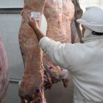 Argentina vuelve a la Cuota Hilton: abren inscripcion para exportar carne premium