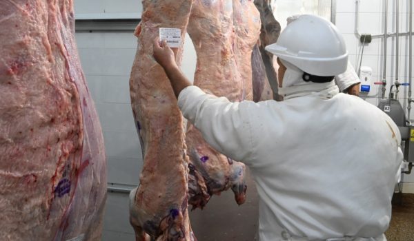 Argentina vuelve a la Cuota Hilton: abren inscripcion para exportar carne premium