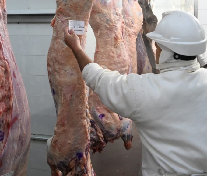 Argentina vuelve a la Cuota Hilton: abren inscripcion para exportar carne premium