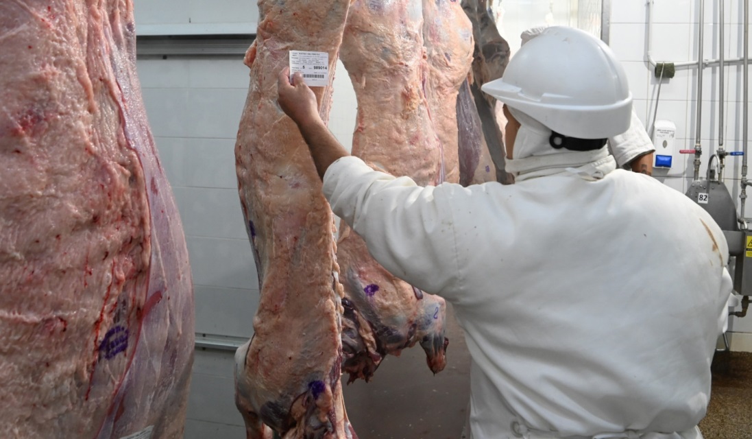 Argentina vuelve a la Cuota Hilton: abren inscripcion para exportar carne premium