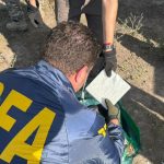Golpe demoledor al narco en Santa Fe: la DEA ayudo a interceptar 400 kilos