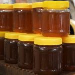 La dulce invasion de Plaza Mansilla: llega la Semana de la Miel a Parana