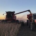 La soja entrerriana promete US$ 21.250 millones: el boom tras las lluvias