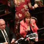 El desorden libertario que desnudo la sesion del Senado
