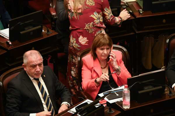 El desorden libertario que desnudo la sesion del Senado