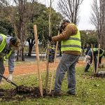 Concordia: $81 millones para plantar la ciudad de verde