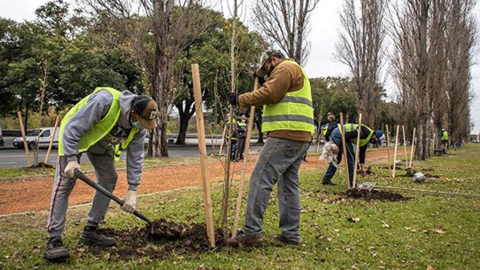 Concordia: $81 millones para plantar la ciudad de verde