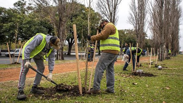 Concordia: $81 millones para plantar la ciudad de verde
