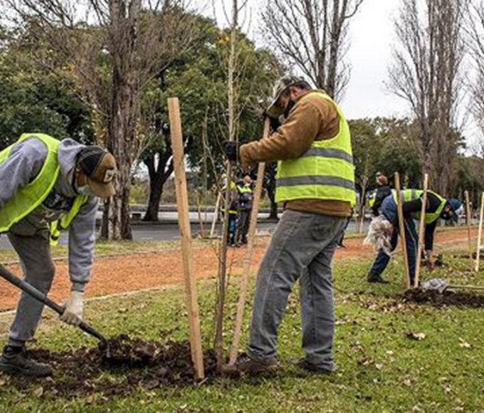Concordia: $81 millones para plantar la ciudad de verde