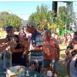 Concordia: la ordenanza que obliga al municipio a castrar 18 mil mascotas por año