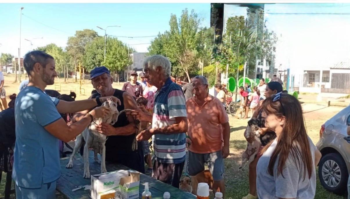 Concordia: la ordenanza que obliga al municipio a castrar 18 mil mascotas por año