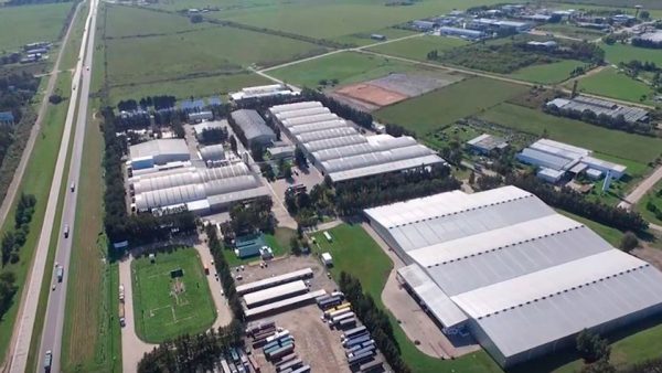 Gualeguaychú: el plan de exenciones que puede cambiar todo para los comercios