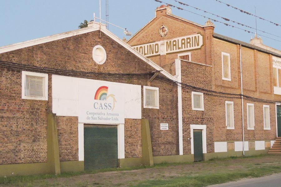 La millonaria apuesta arrocera que cambiará el mapa productivo entrerriano