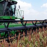 Golpe brutal al campo entrerriano: el sorgo se desploma un 66%