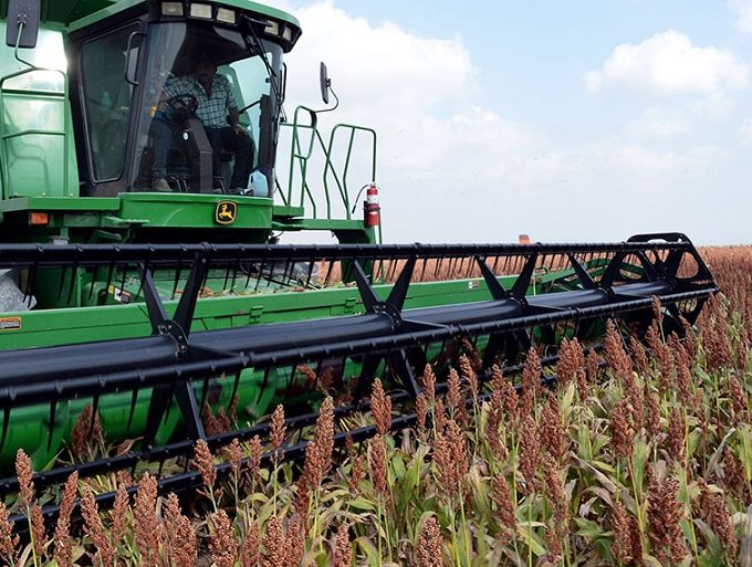 Golpe brutal al campo entrerriano: el sorgo se desploma un 66%