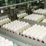Entre Ríos entre las provincias que impulsan el boom de ovoproductos