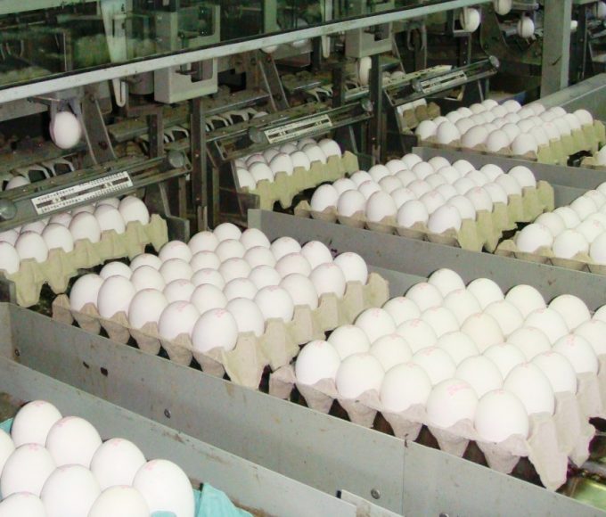 Entre Ríos entre las provincias que impulsan el boom de ovoproductos