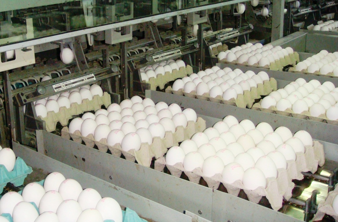 Entre Ríos entre las provincias que impulsan el boom de ovoproductos