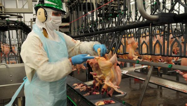 Granja Tres Arroyos tantea volver a La China: el plan que divide aguas