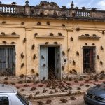 Invasion de ratas en zona sur: vecinos apuntan a La Fraternidad